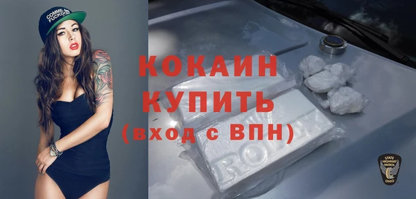винт Бородино