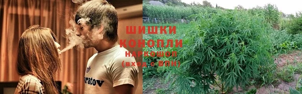 амф Бугульма