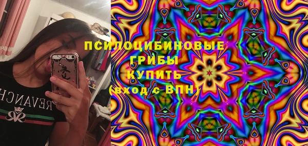 амф Бугульма