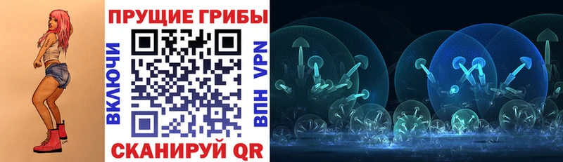 Купить закладки  Сосновка  Галлюциногенные грибы прущие грибы 
